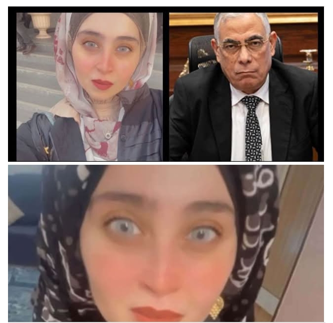 المستشارة وسام الهواري: متهمون في قضية 