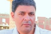 الرؤية المصرية 