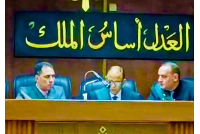 القضاء الإداري بدمياط يعيد أحمد محمد شلبي للانتخابات ويرفض الطعون ضد النائب ضياء الدين داوود