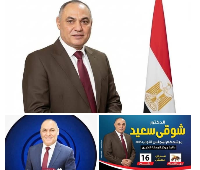 د. شوقي سعيد: افتتاح المتحف المصري الكبير برعاية السيسي حدث تاريخي يعكس ريادة مصر العالمية