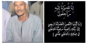 “الدالي:  التشخيص المبكر للقدم السكرى قادر على إنقاذ القدم ومنع البتر”