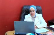 الرقمنة والإدارة الثقافية والمسرحية بقصور الثقافة