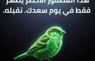 ياريتك كنت..... بياع  خس