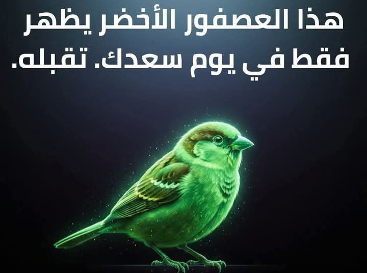 ياريتك كنت..... بياع  خس