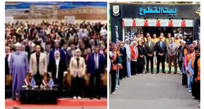 الدكتور عمرو عثمان: تنفيذ أنشطة وبرامج توعوية في 8000 مدرسة و51 جامعة حكومية وخاصة وأهلية وتكنولوجية  و1113 مركز شباب للتوعية بأضرار تعاطى المخدرات