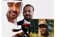 لماذا عزز الجيش وجوده في الدمازين وما حقيقة التهديدات على الحدود