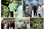 وزير قطاع الأعمال العام يتفقد مصانع 