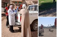 بيطري قنا: حملة لتحصين الكلاب الضالة بمركز قوص