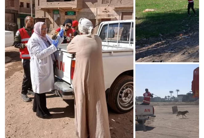 بيطري قنا: حملة لتحصين الكلاب الضالة بمركز قوص