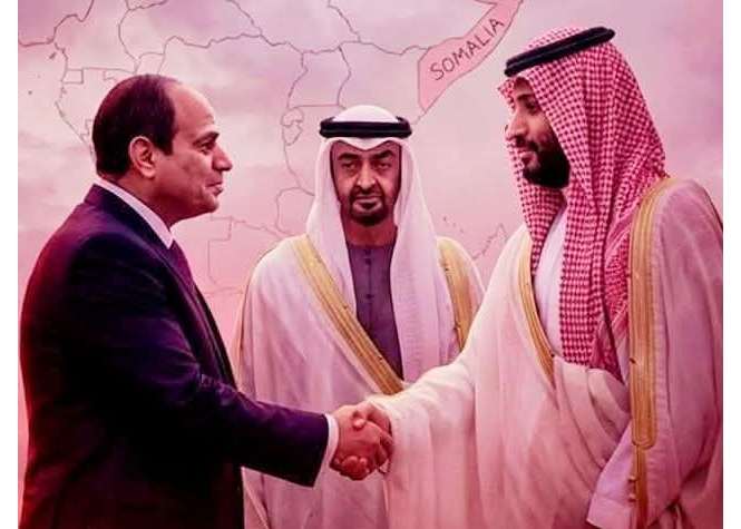 السيسى يحذر من أى كيانات موازية ويؤكد وحدة مؤسسات الدول فى الجوار
