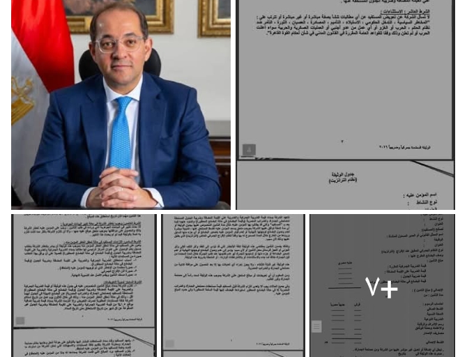 النقل الدولي: منشور الجمارك الجديد يدعم الإفراج السريع ويخفض أعباء الشركات