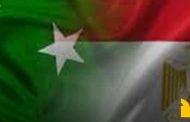 توافق مصرى باكستانى على تعزيز الجهود الدبلوماسية لتثبيت وقف إطلاق النار فى الشرق الأوسط