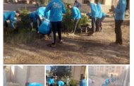مركز شباب الوقف يطلق معسكر تشجير ضمن مبادرة 100 مليون شجرة بحاجر الجبل