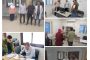 تقرير لجنة تُجَّار الأسماك بغرفة القاهرة يكشف زيادة في المعروض واستقرار السوق مع حلول موسم شم النسيم