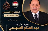 الدكتور الجوهري الشبيني يثمن  جهود الرئيس عبد الفتاح السيسي لدعم وتعزيز ملف الطاقة في مصر