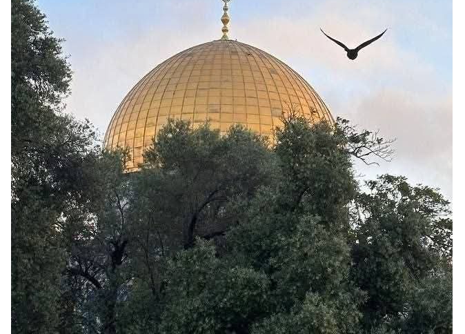 أصدرت 18 دولة عربية وإسلامية بيانا مشتركا نددت فيه بإقدام ما يسمى أرض الصومال بافتتاح سفارة له لدى الكيان في القدس المحتلة
