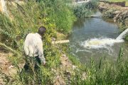 استجابة عاجلة تنقذ الأراضي الزراعية بالواصفية.. النائب سيد عبد الجليل يقود تحركًا ميدانيًا لحل أزمة تجمع المياه بطريق الإسماعيلية – الزقازيق