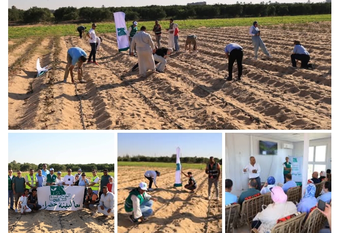بمناسبة اليوم العالمي للبيئة.. مصر الخير تنظم فعالية لنشر الوعي البيئي وتحفيز المبادرات المجتمعية بالشراكة مع المؤسسات المعنية بالبيئة