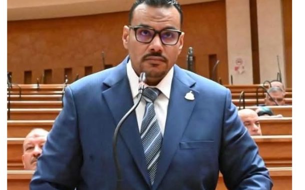 النائب أحمد العجوز: ثورة ٣٠ يونيو.. نموذج اتحاد المصريين في مواجهة التحديات